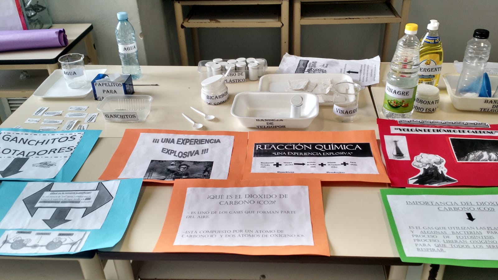 Feria de Ciencias: Biología, Naturales, Físico-Química. | Instituto